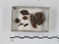 登錄號:F0018316藏品圖，第1張