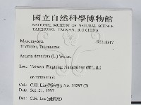 登錄號:F0018317藏品圖，第2張