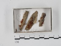 登錄號:F0018318藏品圖，第1張