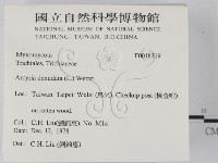登錄號:F0018319藏品圖，第2張