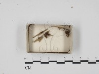 登錄號:F0018319藏品圖，第1張