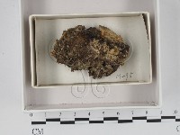 登錄號:F0018320藏品圖，第1張
