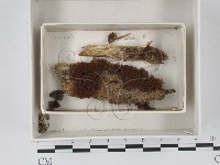登錄號:F0018322藏品圖，第1張