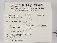 登錄號:F0018323藏品圖，第2張