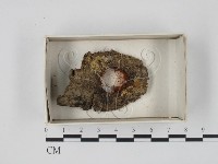 登錄號:F0018323藏品圖，第1張