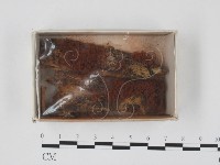 登錄號:F0018326藏品圖，第1張