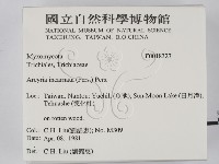 登錄號:F0018327藏品圖，第2張