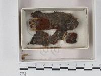 登錄號:F0018327藏品圖，第1張
