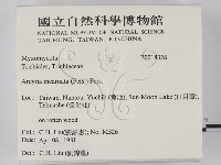 登錄號:F0018328藏品圖，第2張