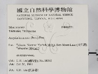 登錄號:F0018331藏品圖，第2張