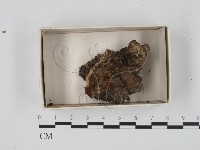 登錄號:F0018331藏品圖，第1張