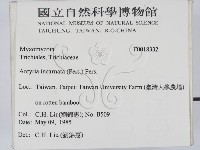 登錄號:F0018332藏品圖，第2張