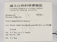 登錄號:F0018334藏品圖，第2張