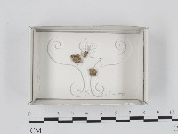 登錄號:F0018334藏品圖，第1張