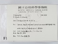 登錄號:F0018335藏品圖，第2張