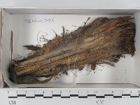 登錄號:F0018335藏品圖，第1張