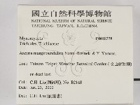 登錄號:F0018338藏品圖，第2張