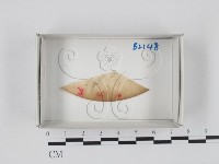 登錄號:F0018338藏品圖，第1張
