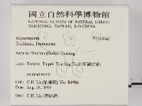 登錄號:F0018342藏品圖，第2張
