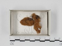 登錄號:F0018344藏品圖，第1張
