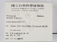 登錄號:F0018345藏品圖，第2張