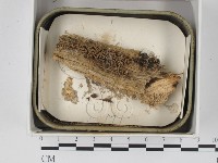 登錄號:F0018345藏品圖，第1張