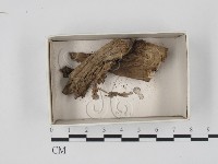 登錄號:F0018346藏品圖，第1張