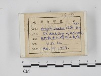 登錄號:F0018346藏品圖，第4張