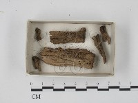登錄號:F0018346藏品圖，第5張
