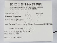 登錄號:F0018348藏品圖，第2張