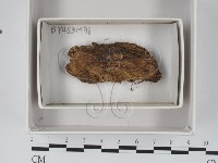 登錄號:F0018349藏品圖，第1張
