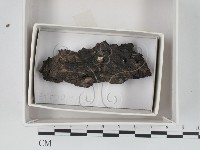 登錄號:F0018350藏品圖，第1張