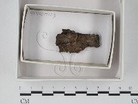登錄號:F0018351藏品圖，第1張