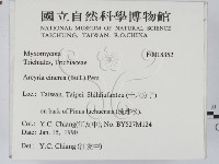 登錄號:F0018352藏品圖，第2張