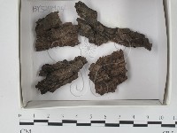 登錄號:F0018352藏品圖，第1張