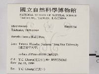 登錄號:F0018354藏品圖，第2張