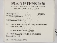 登錄號:F0018355藏品圖，第2張