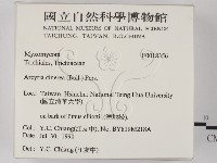 登錄號:F0018356藏品圖，第2張