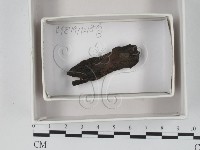 登錄號:F0018356藏品圖，第1張