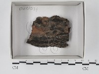 登錄號:F0018357藏品圖，第1張