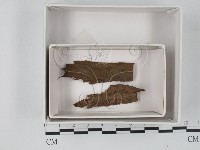 登錄號:F0018360藏品圖，第1張