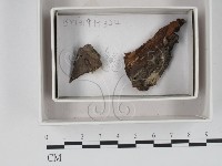 登錄號:F0018362藏品圖，第1張