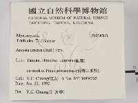 登錄號:F0018363藏品圖，第2張