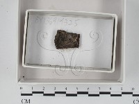 登錄號:F0018363藏品圖，第1張