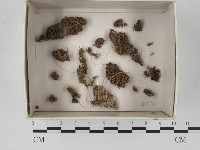 登錄號:F0018365藏品圖，第1張