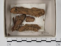 登錄號:F0018367藏品圖，第1張