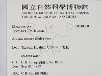 登錄號:F0018368藏品圖，第2張