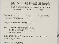 登錄號:F0018370藏品圖，第2張
