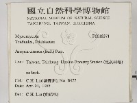 登錄號:F0018371藏品圖，第2張