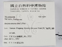 登錄號:F0018372藏品圖，第2張